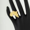 Africa Brass Ring